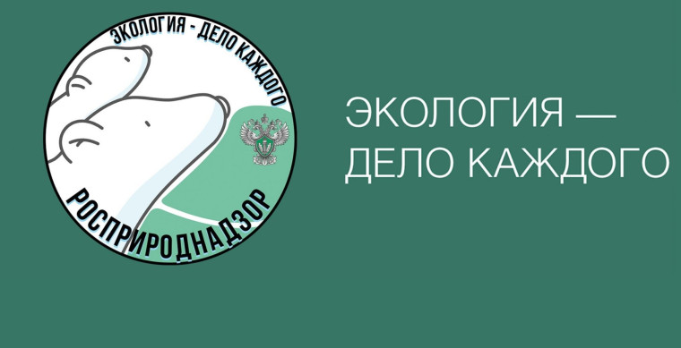 «Экология – дело каждого».
